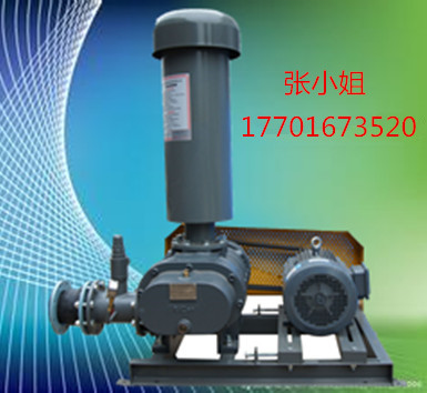 污水處理羅茨鼓風(fēng)機 污水處理羅茨鼓風(fēng)機