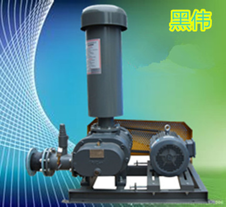 羅茨風(fēng)機 羅茨風(fēng)機