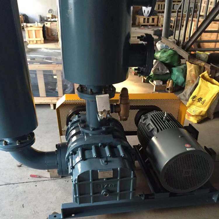 羅茨鼓風機 750乘750 圖1 羅茨鼓風機 750乘750 圖1