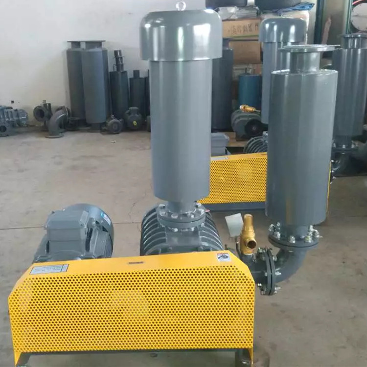 羅茨鼓風(fēng)機(jī) 750乘750 圖3 羅茨鼓風(fēng)機(jī) 750乘750 圖3