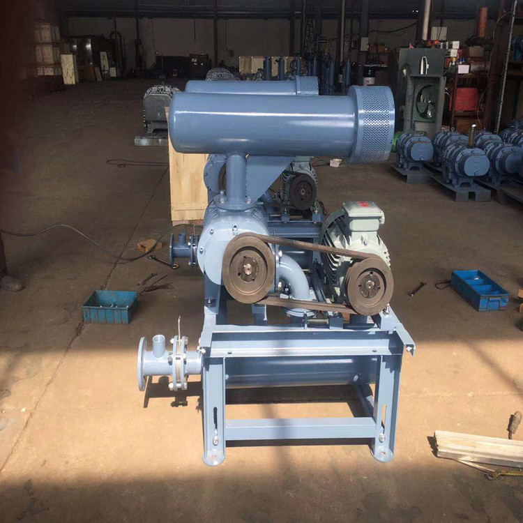 羅茨鼓風(fēng)機(jī) 750乘750 圖17 羅茨鼓風(fēng)機(jī) 750乘750 圖17