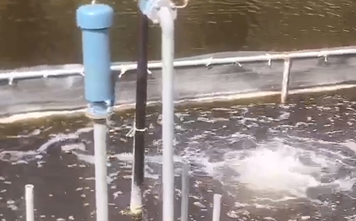 沉水式羅茨風機 沉水式羅茨風機