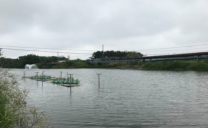 魚塘增氧 魚塘增氧