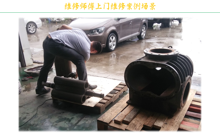 黑偉羅茨風(fēng)機(jī) 黑偉羅茨風(fēng)機(jī)